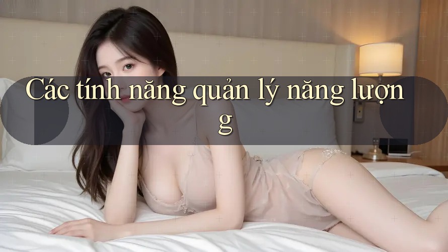 Các tính năng quản lý năng lượng Các tính năng quản lý năng lượng