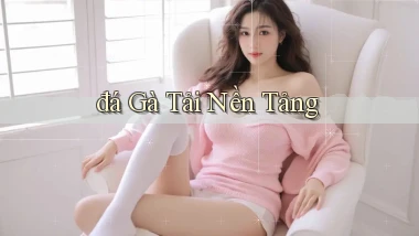 đá gà Tải nền tảng